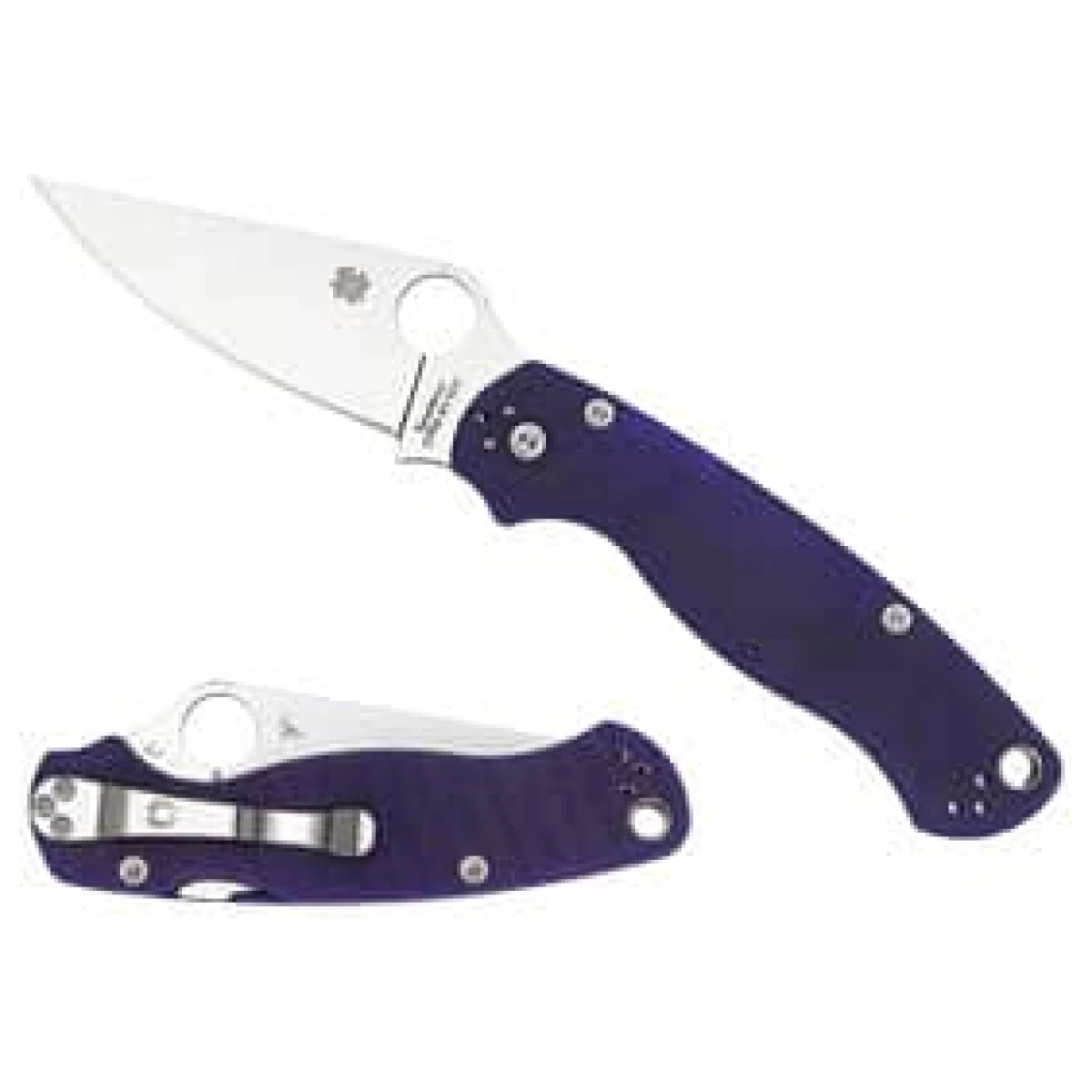 Spyc81gpdbl2_1. Jpg - spyderco paramilitary2 blue g10 pln - spyc81gpdbl2 1