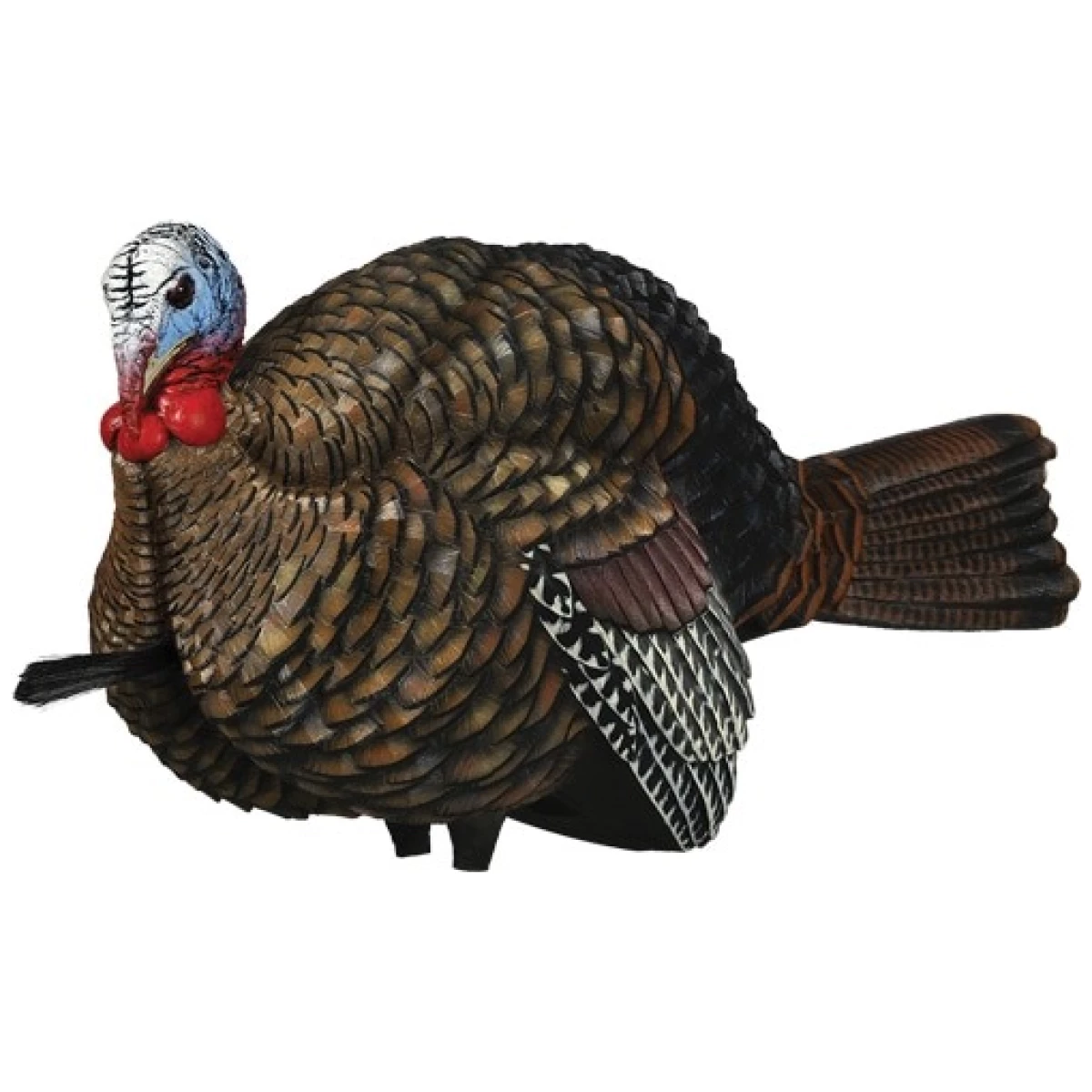 Avxavx8012jpg - avian x lcd 1/2 strut jake - avxavx8012