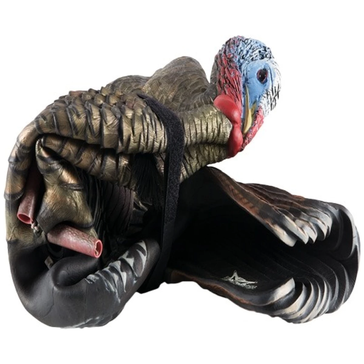 Avxavx8012_half-foldedjpg - avian x lcd 1/2 strut jake - avxavx8012 half folded