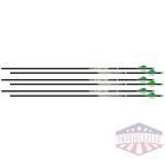 easton arrow axis 4mm 400 2"
