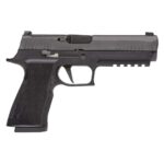 Sig Sauer P320 XTEN Handgun 10mm Auto15rd Magazines(2) 5" Barrel Nitron Finish