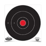 B/C DIRTY BIRD RND BLSEYE TGT 12-12"