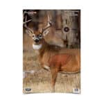 B/C PREGAME DEER TGT 3-16.5X24