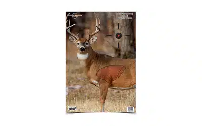 B/c pregame deer tgt 3-16. 5x24 - image 1