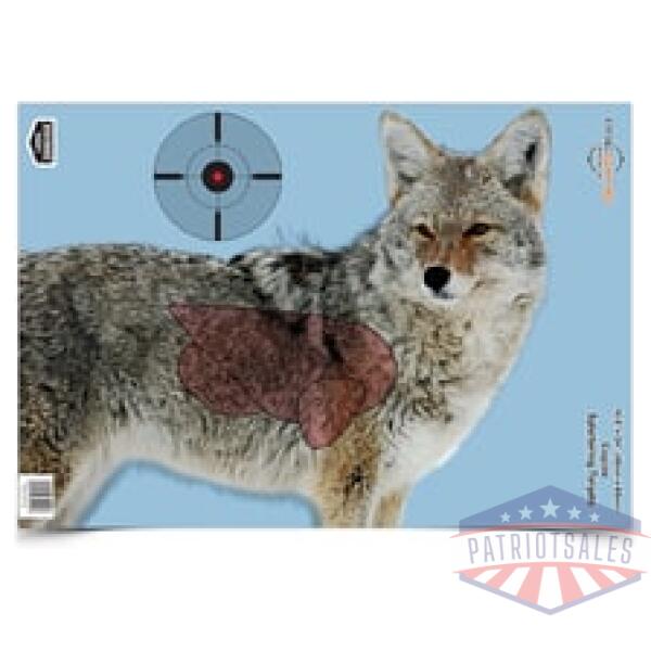 b/c pregame coyote tgt 3-16.5x24