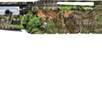 SAVAGE RENEGAUGE TURKEY 12GA