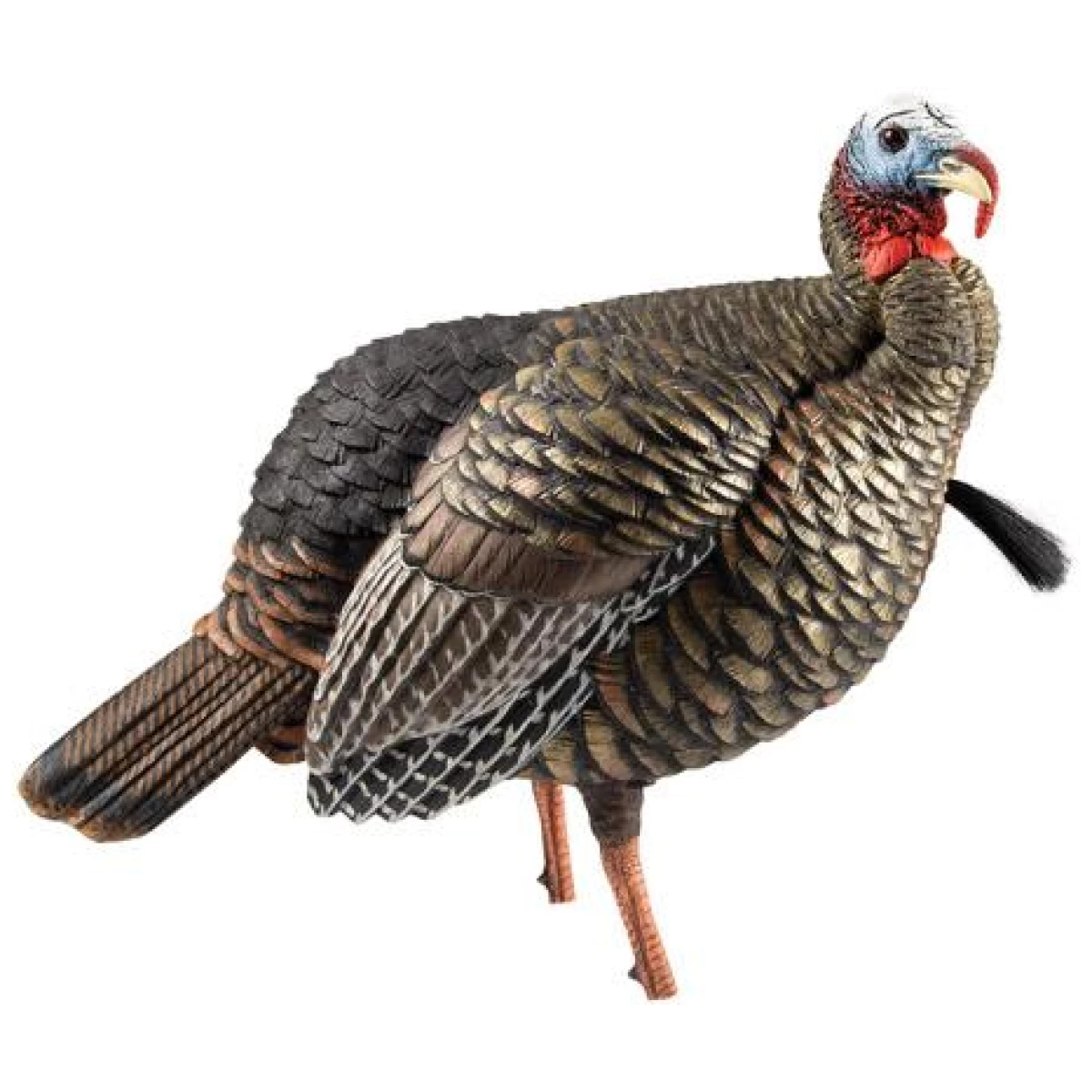 Avavxavx8105. Jpg - avian-x hdr jake decoy - avavxavx8105