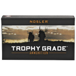 NOSLER TG 243WIN 100GR PT 20/200