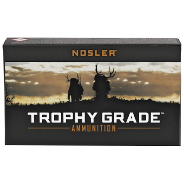 NOSLER TG 243WIN 100GR PT 20/200