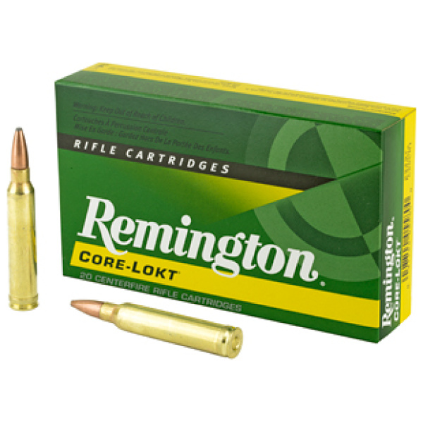 REM 300WIN 180GR PSP CL 20/200