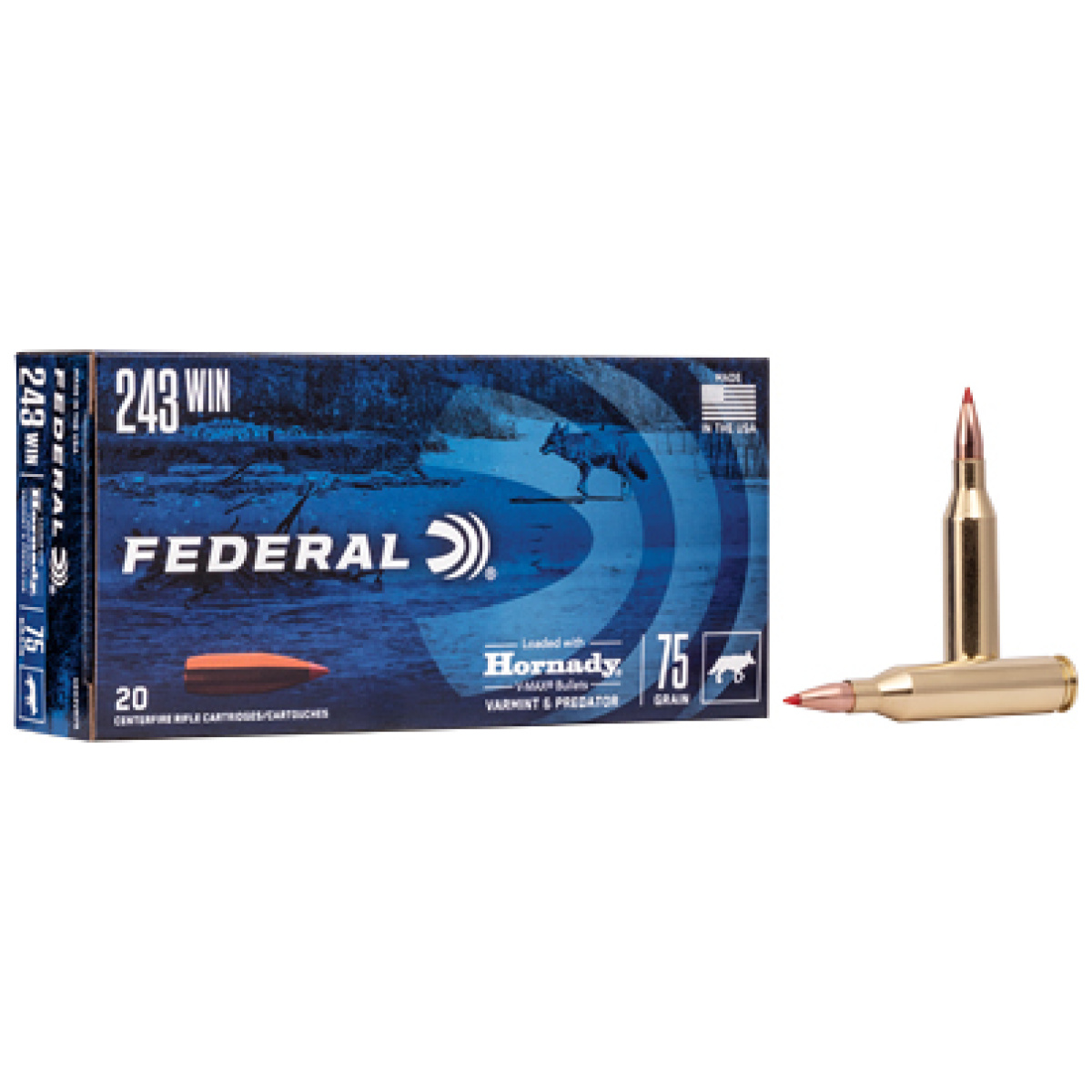 Fev243vm75_1. Jpg - fed v&p 243win 75gr v-max 20/200 - fev243vm75 1