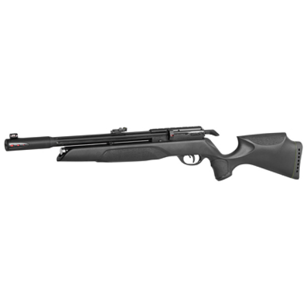 GAMO ARROW PCP .22 CAL PEL