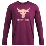 Men's UA Project Rock Brahma Bull Shirt