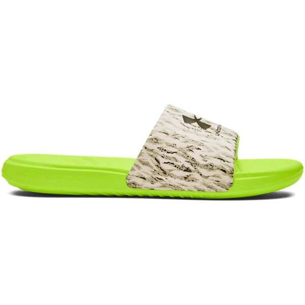 UA Ansa Graphic Slides