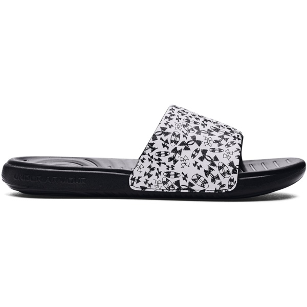 UA Ansa Graphic Slides