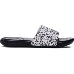 UA Ansa Graphic Slides