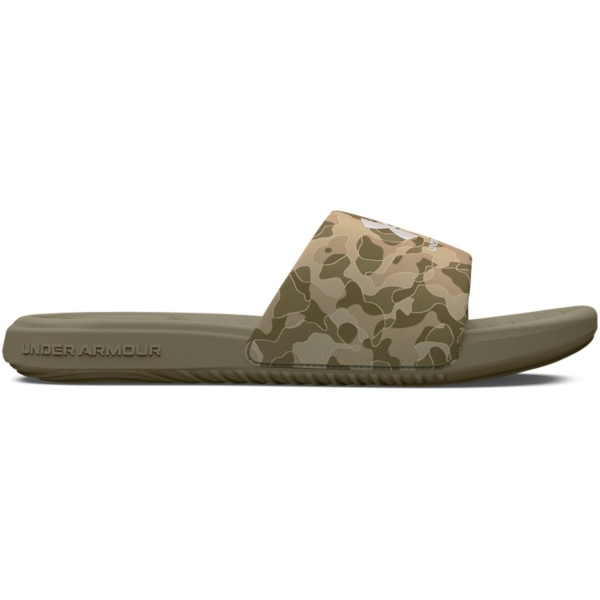 UA Ansa Graphic Slides