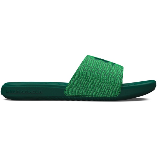 UA Ansa Graphic Slides
