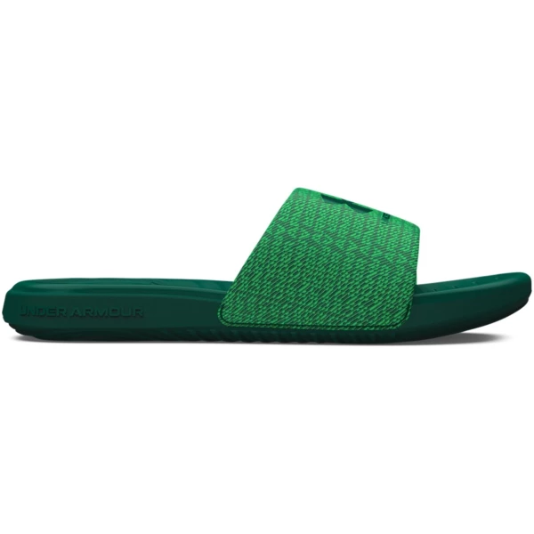 UA Ansa Graphic Slides