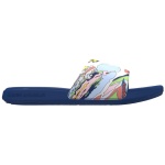 UA Ansa Graphic Slides