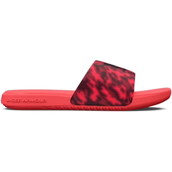 UA Ansa Graphic Slides