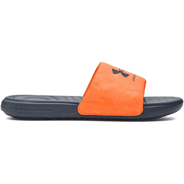 UA Ansa Graphic Slides