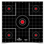 B/C DIRTY BIRD SIGHT IN TGT 12-12"