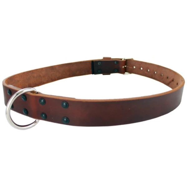 Restraining Belt