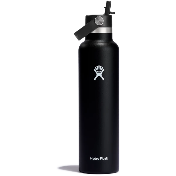 Standard Mouth 24oz Insulated Water Bottle w/ Flex Straw