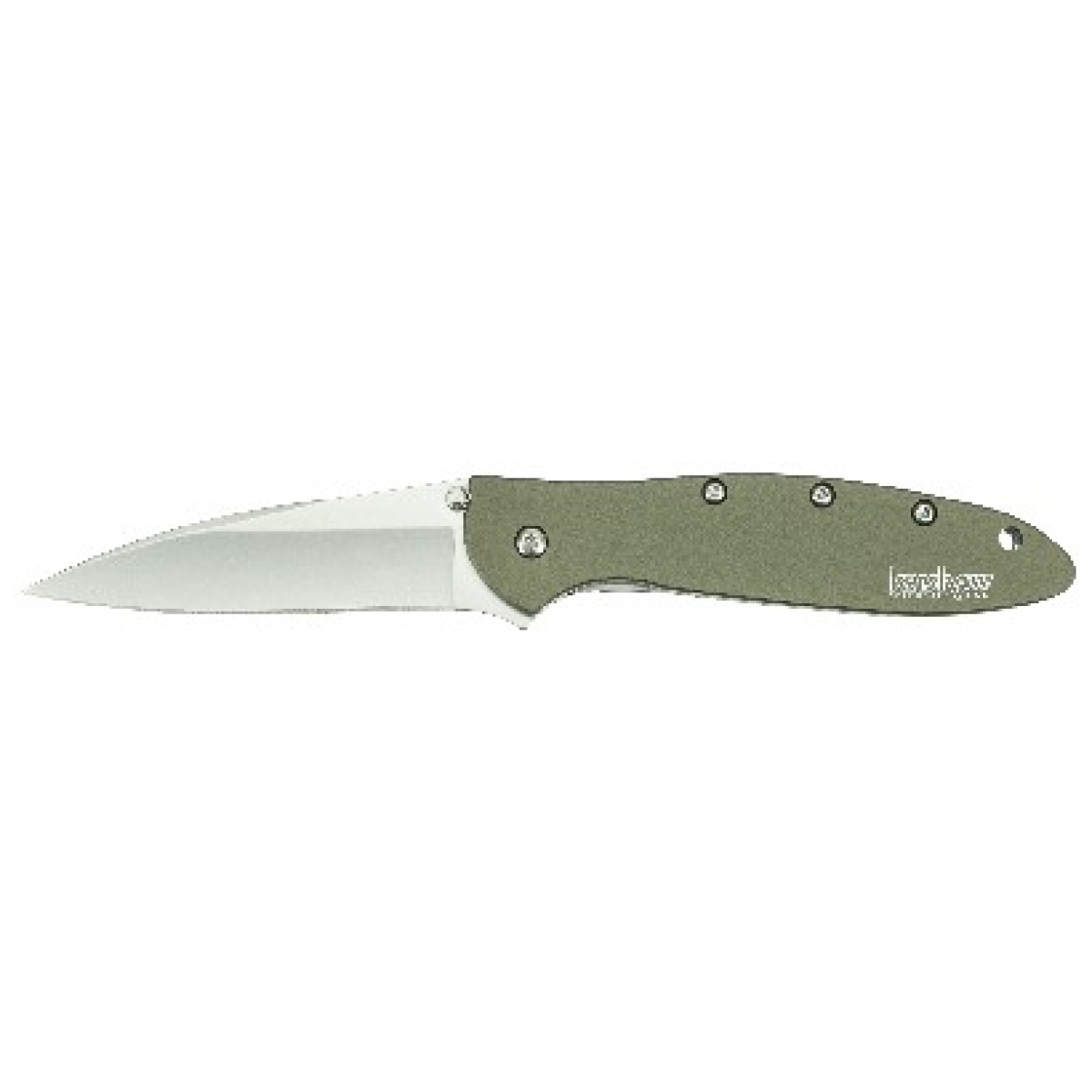 Leek - image 1