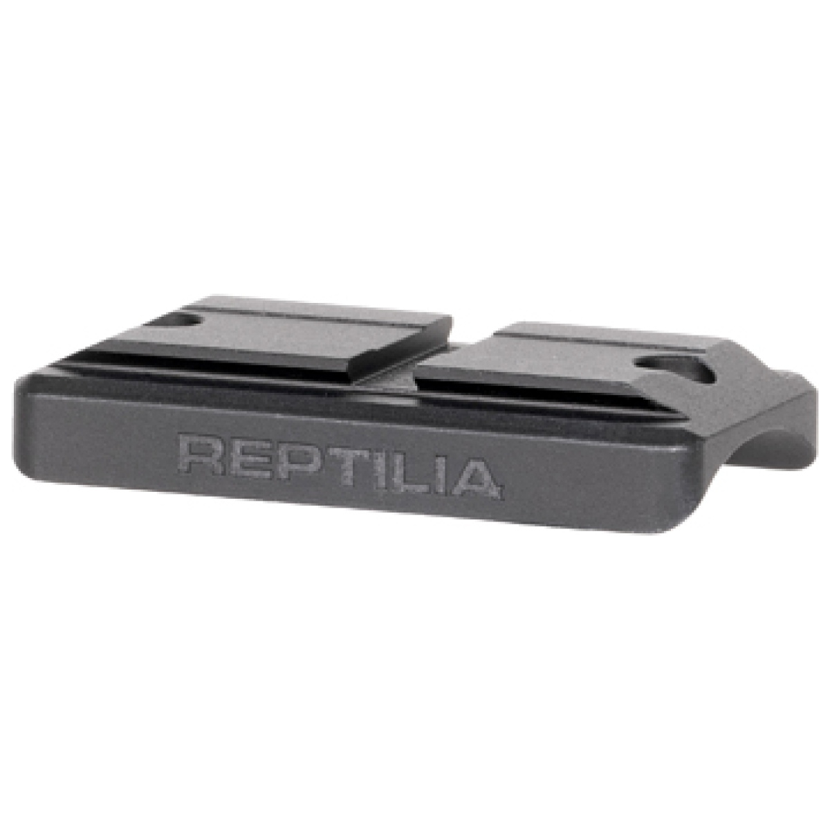 Rep100-294_1. Jpg - reptilia sdl mnt 1301/a300 509t - rep100 294 1