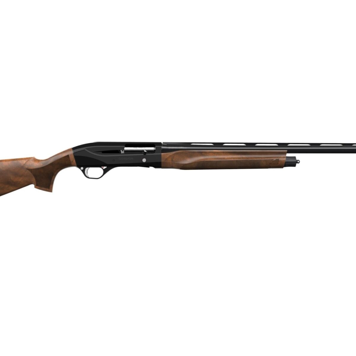 Rty-gor20plblk-26. Jpg - gordion walnut - rty gor20plblk 26