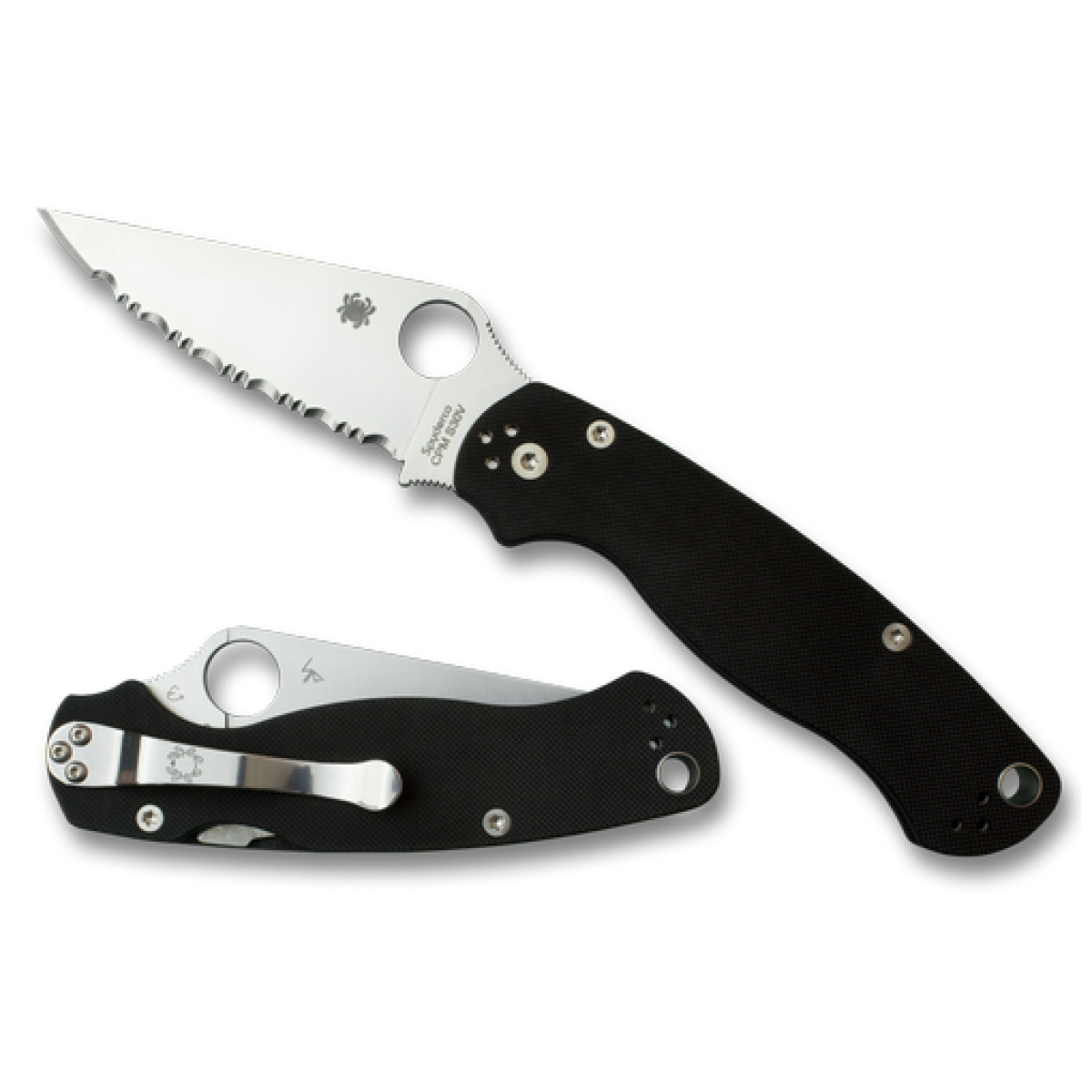 Paramilitary - image 1