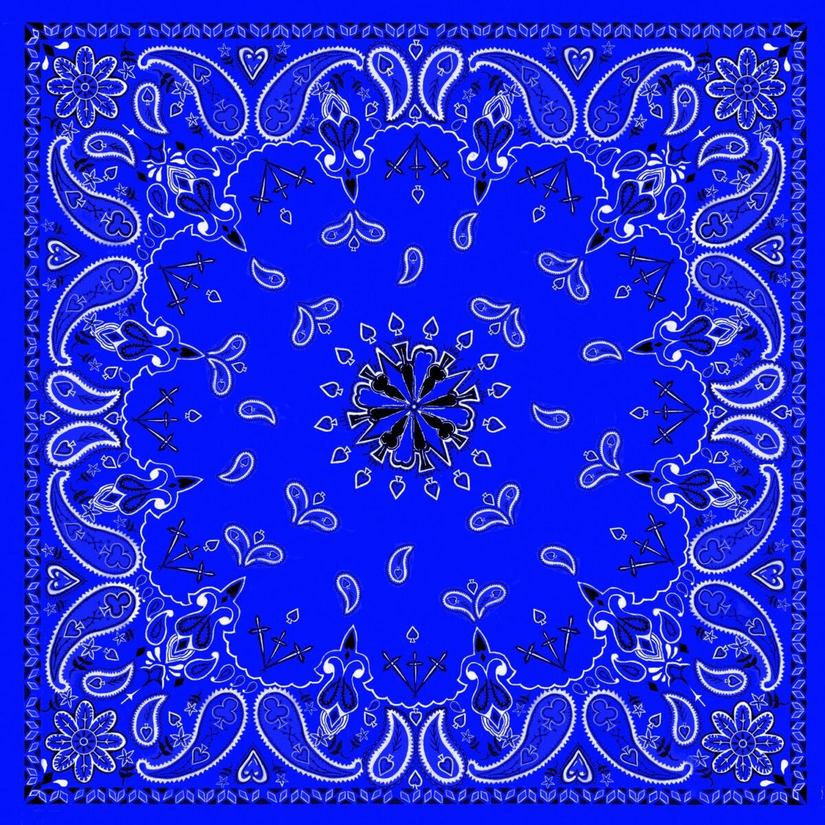 Zan-b002. Jpg - bandanna - zan b002