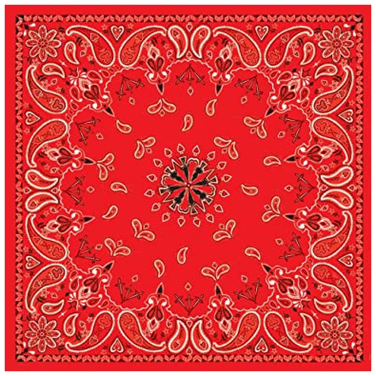 Zan-b003. Jpg - bandanna - zan b003