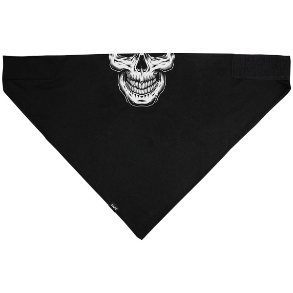 Bandanna