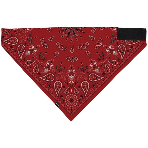 Bandanna