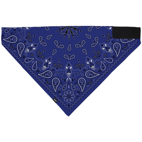 Bandanna