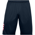 UA Freedom Tech Big Flag Logo Shorts