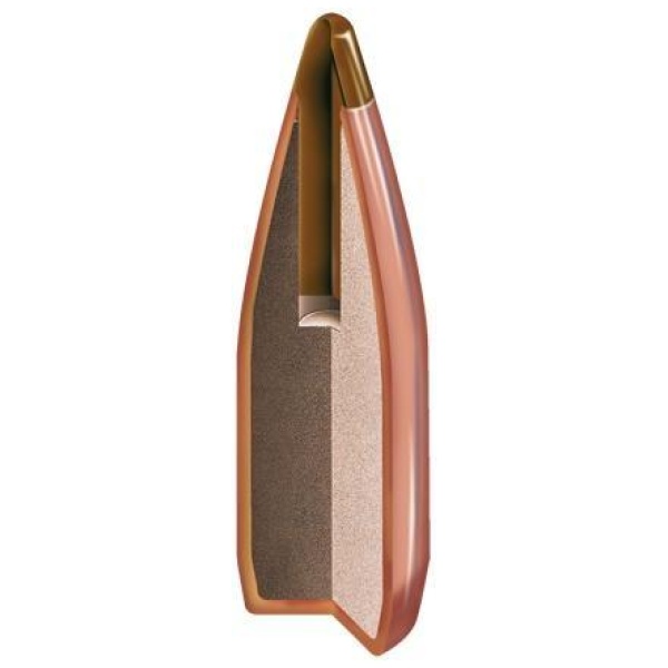 Hornady NTX Bullets .20 cal .204" 24 gr NTX 100/ct