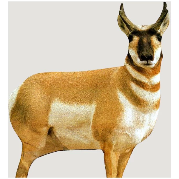 Montana Decoy Co Antelope Buck Decoy