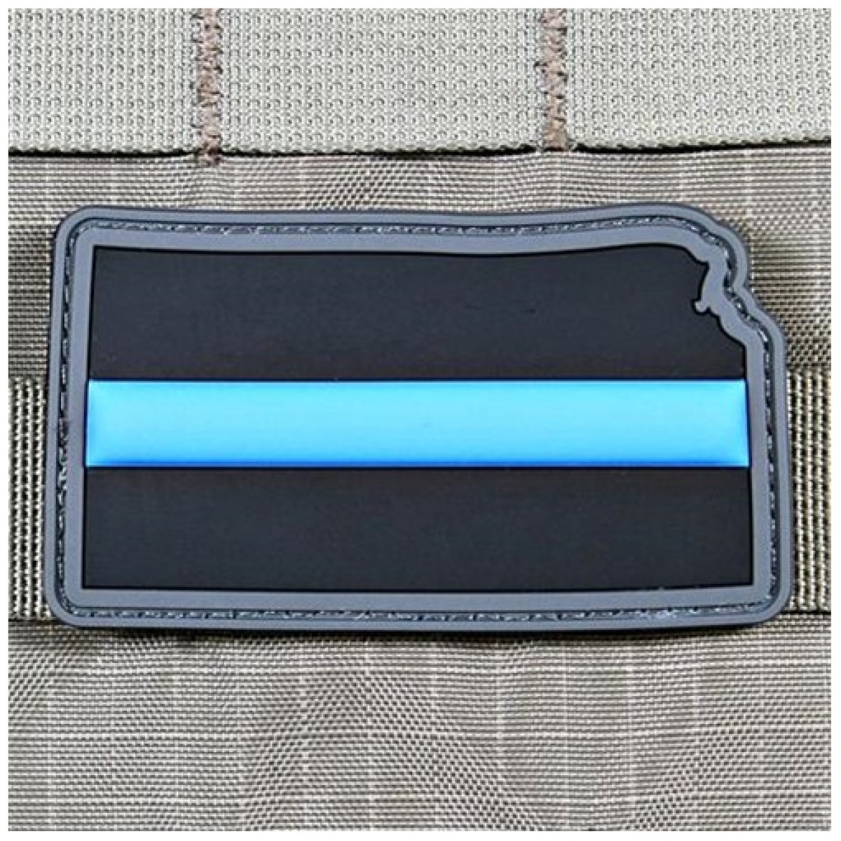 Every state in thin blue line patch - image 1