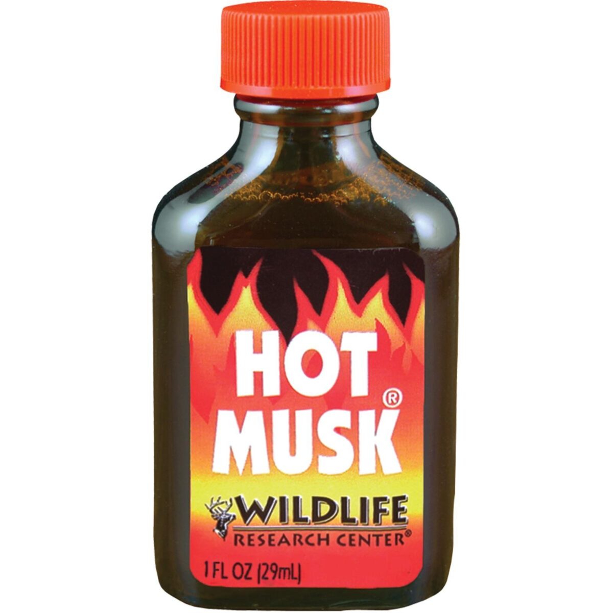 Wildlife research hot musk - image 1