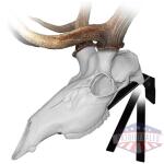 mountain mike's elk positioner