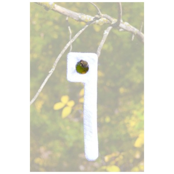 WRC SCENT WICK KEY WICK - MAGNUM 2PK
