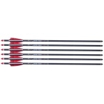 TENPOINT CENTERPUNCH HPX 20" - ARROW ALPHA NOCK HPX 6PK