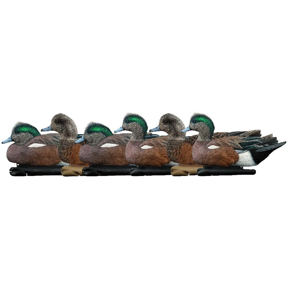 Https3a2f2fmedia. Chattanoogashooting. Com2fimages2fproduct2favavxavx80842favx-avx8084. Jpg - avian-x top flight wigeon 6/ct - https3a2f2fmedia. Chattanoogashooting. Com2fimages2fproduct2favavxavx80842favx avx8084