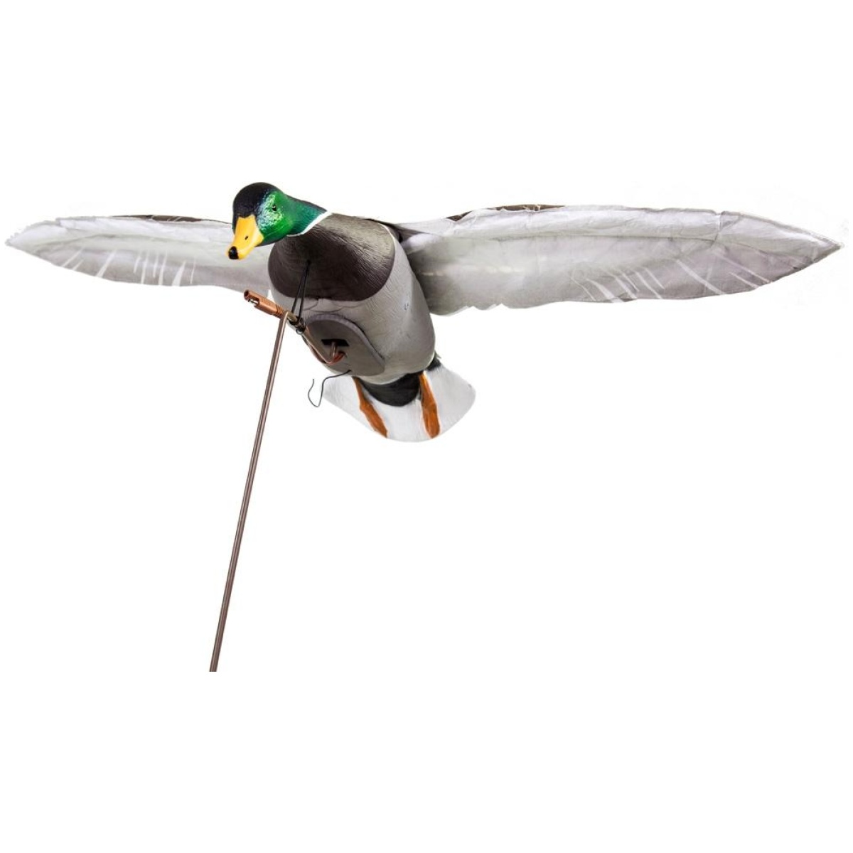 Https3a2f2fmedia. Chattanoogashooting. Com2fimages2fproduct2fhg560152fhg56015. Jpg - higdon outdoors motion decoy clone drake mallard - https3a2f2fmedia. Chattanoogashooting. Com2fimages2fproduct2fhg560152fhg56015