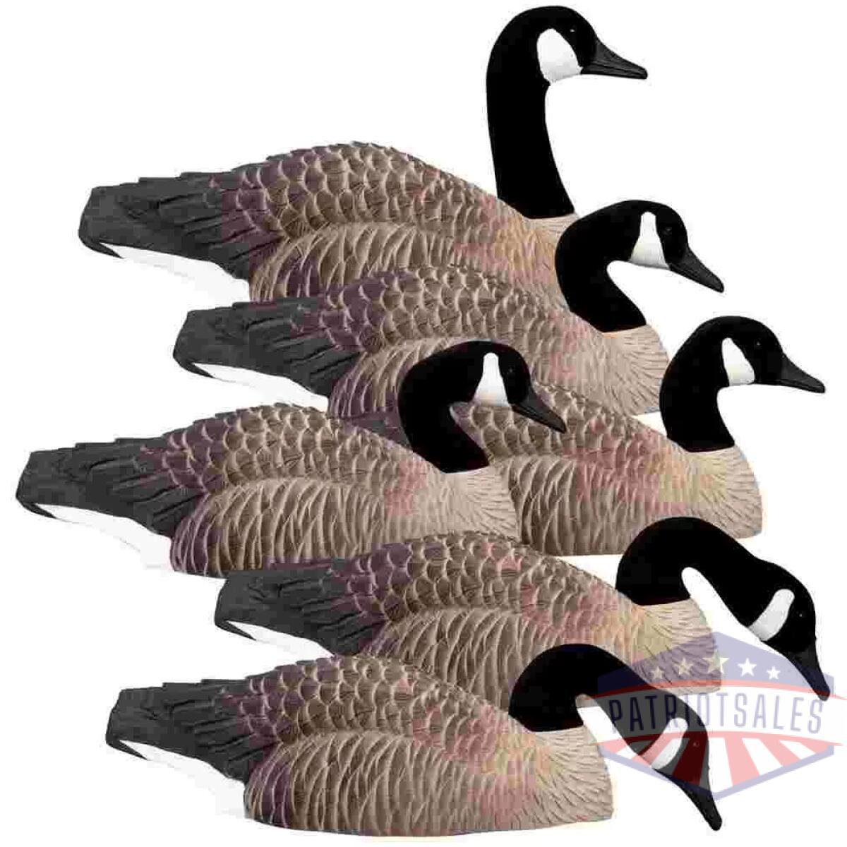 Https3a2f2fmedia. Chattanoogashooting. Com2fimages2fproduct2fhg759612fhg75961. Webp - higdon outdoors magnum half shell canada 6pk - https3a2f2fmedia. Chattanoogashooting. Com2fimages2fproduct2fhg759612fhg75961