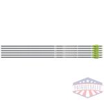 EASTON 4MM FMJ MATCH GRADE 300 - 6-PACK W/ 3" AAE HYBRID VANES